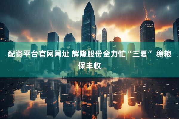 配资平台官网网址 辉隆股份全力忙“三夏” 稳粮保丰收