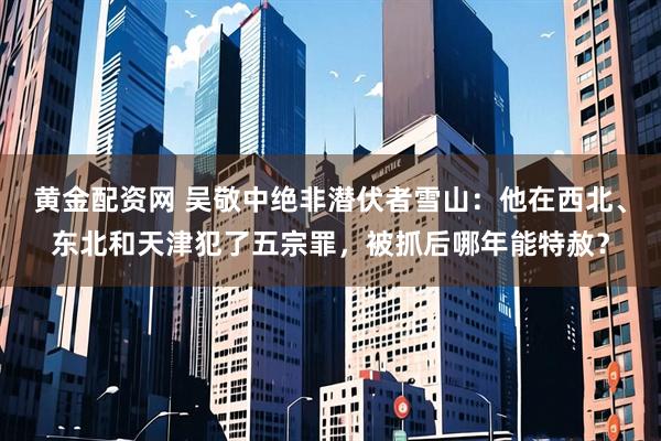 黄金配资网 吴敬中绝非潜伏者雪山：他在西北、东北和天津犯了五宗罪，被抓后哪年能特赦？